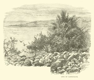 Stätte von Kapernaum