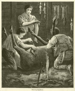 Das Häuten des Elchs (Gravur)