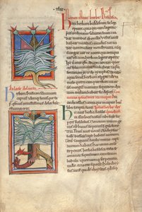 Sloane Ms 1975 fol.48 Das Kraut Basilikum