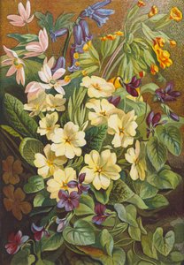 Frühlingsblumen