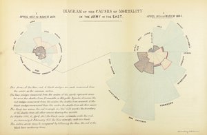 Statistisches Diagramm, erfunden von Florence Nightingale, um die Vorherrschaft von Krankheiten als Todesursache in der britischen Armee während des Krimkriegs zu zeigen, April 1854 bis März 1855 und April 1855 bis Mai 1856 von English School