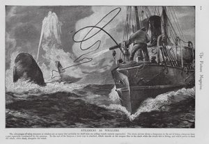 Dampfer als Walfangschiff genutzt (Gravur)