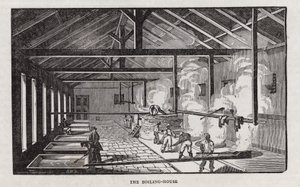 Zuckerproduktion (Gravur) von English School