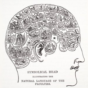 Symbolischer Kopf, der die natürliche Sprache der Fähigkeiten zeigt von English School