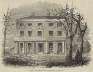 Das Asyl für Idioten, Park House, Highgate von English School