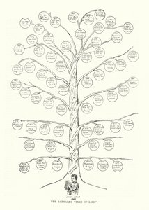 Der Barnardo „Baum des Lebens“