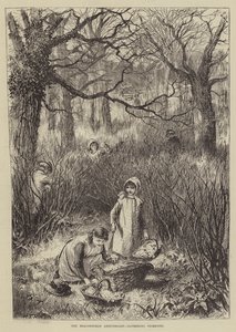 Das Beaconsfield-Jubiläum, Primeln sammeln (Stich)