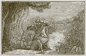 Der Habgierige