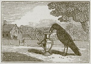 Die Krähe und der Krug (Gravur) von English School