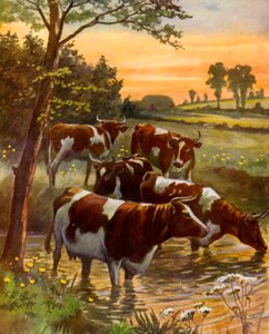 Die Herde des Milchbauern (Farblitho)