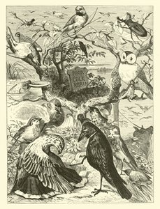 Der Tod und das Begräbnis von Cock Robin von English School