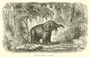 Der Dinotherium, restauriert (Gravur)