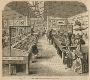 Das Lebensmittel- und Tierprodukte-Museum, South Kensington Museum von English School