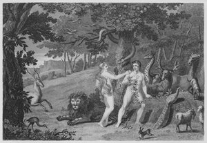 Die verbotene Frucht, Genesis, III, 6