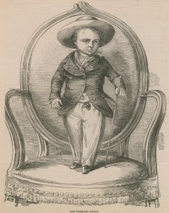 Der Friesland-Zwerg von English School