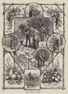 Das Obst, das wir essen (Gravur) von English School