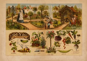 Der Garten