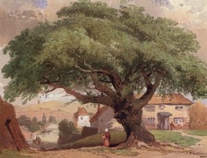 Die große Esche, Szene in Surrey