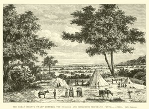 Der Große Makata-Sumpf zwischen den Usagara- und Simbaweni-Bergen, Zentralafrika von English School