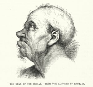 Der Kopf des Bettlers (Raphael)