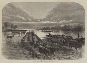 Das Land des Öls, Transport von Fässern auf dem Oil Creek (Stich) von English School