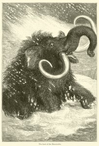 Das letzte der Mammuts (Stich)
