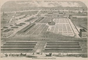 Der Metropolitan Viehmarkt, Copenhagen Fields, London von English School