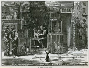 Die Morgentoilette, Seven Dials von English School