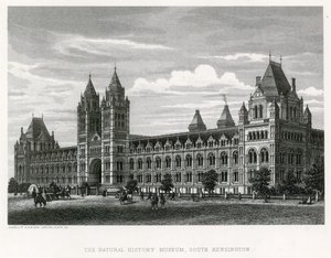 Das Naturhistorische Museum, 1881 von English School