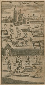 Die Pest 1665 von English School