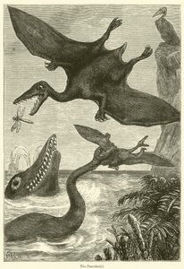 Der Pterodaktylus von English School