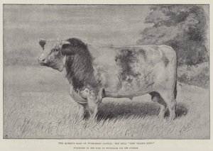 Der Verkauf von reinrassigen Rindern der Königin, der Bulle "Neujahrsgeschenk," gekauft vom Earl of Feversham für 1000 Guineas (Lithografie) von English School