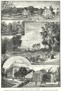 Die Königlichen Botanischen Gärten (Gravur) von English School