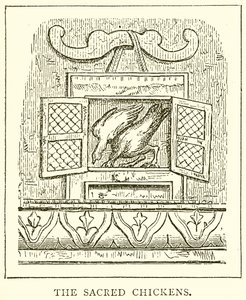 Die heiligen Hühner