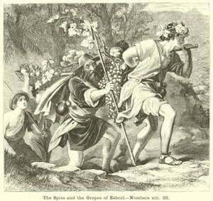 Die Spione und die Trauben von Eschkol, Numeri, xiii, 23 von English School
