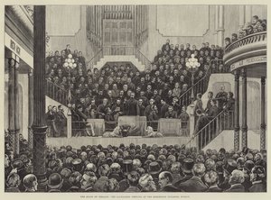 Der Zustand Irlands, das Treffen der Grundbesitzer im Ausstellungsgebäude, Dublin (Stich) von English School
