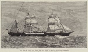 Das Dampfschiff Ruapehu der New Zealand Shipping Company (Stich) von English School