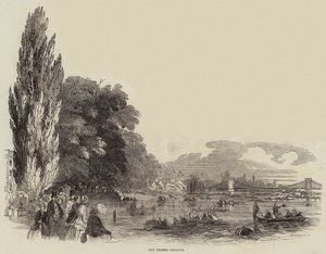 Die Thames-Regatta (Stich) von English School