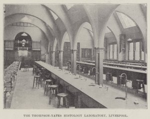 Das Thompson-Yates-Histologielabor, Liverpool (Gravur) von English School