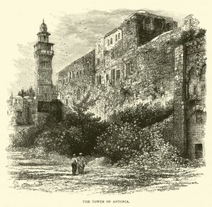 Der Turm von Antonia von English School