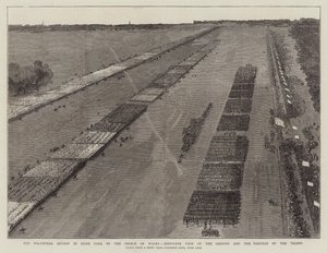 Die Freiwilligenüberprüfung im Hyde Park durch den Prinzen von Wales, Vogelperspektive des Geländes und der Position der Truppen (Gravur)