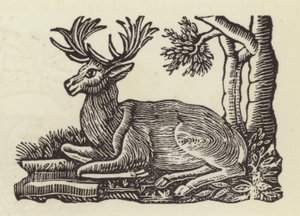 Der Weiße Hirsch von English School
