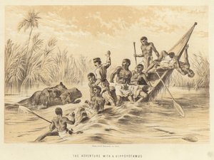 Das Abenteuer mit einem Nilpferd von English School