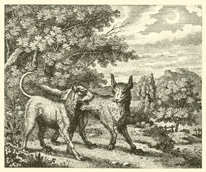 Der Hund und der Wolf (Gravur)