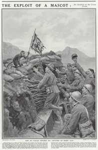 Die Heldentat eines Maskottchens