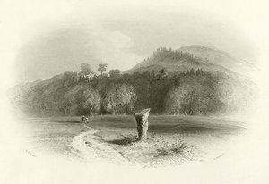 Das Feld von Killiecrankie