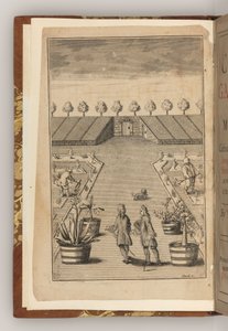 Das Frontispiz von The City Gardener von Thomas Fairchild