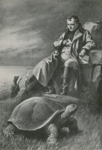 Die Riesenschildkröte, die Napoleon sah von English School