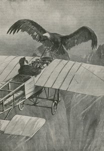 Der König der Lüfte trifft auf einen Eindringling von English School