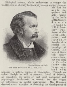 Der verstorbene Professor G J Romanes (Gravur) von English School